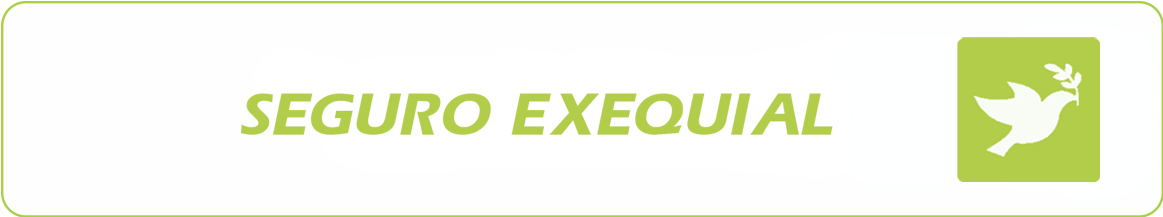 Seguro Hogar