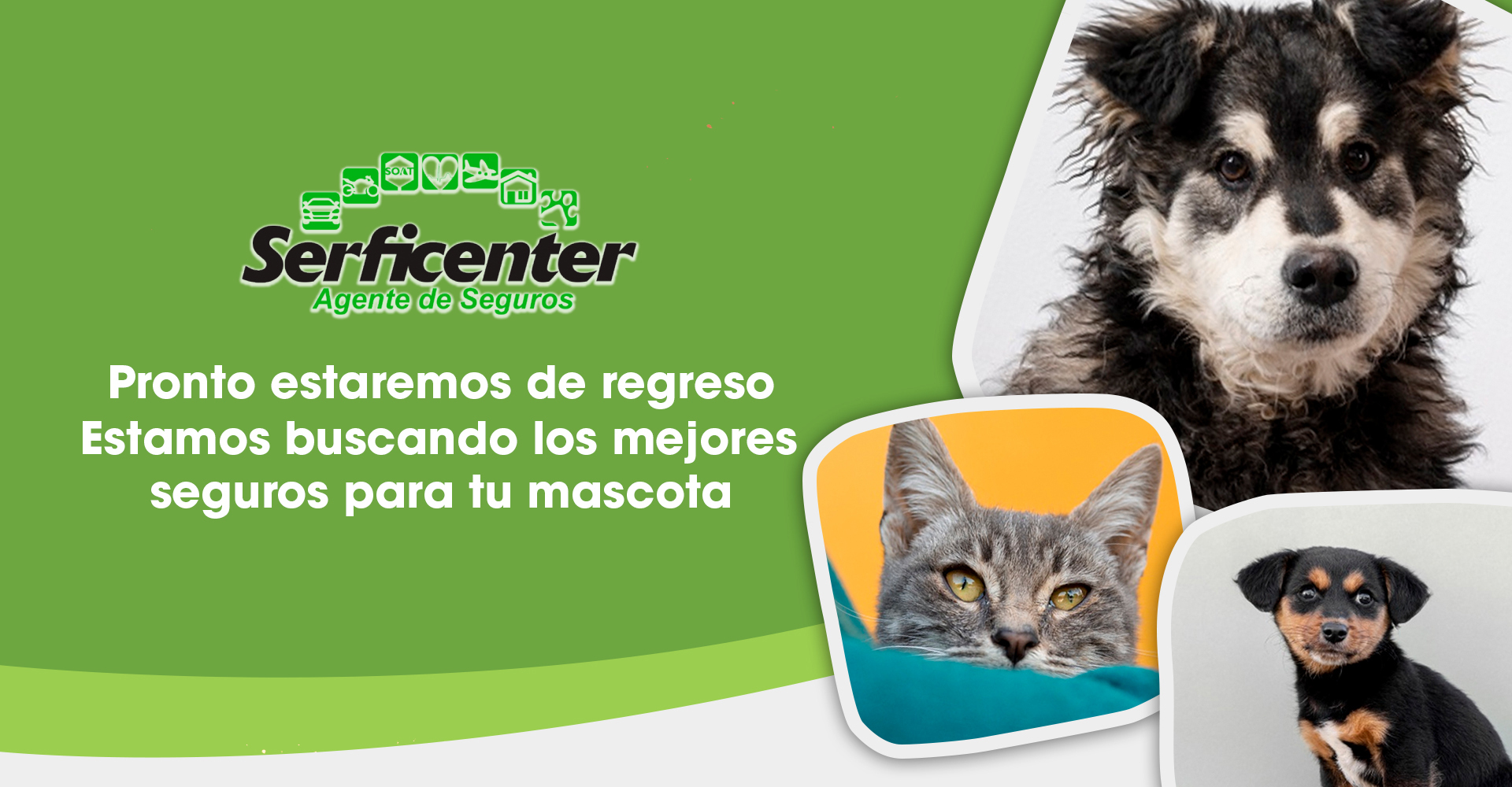 Seguros Mascotas